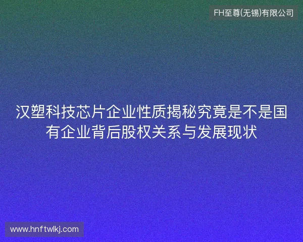 汉塑科技芯片企业性质揭秘究竟是不是国有企业背后股权关系与发展现状