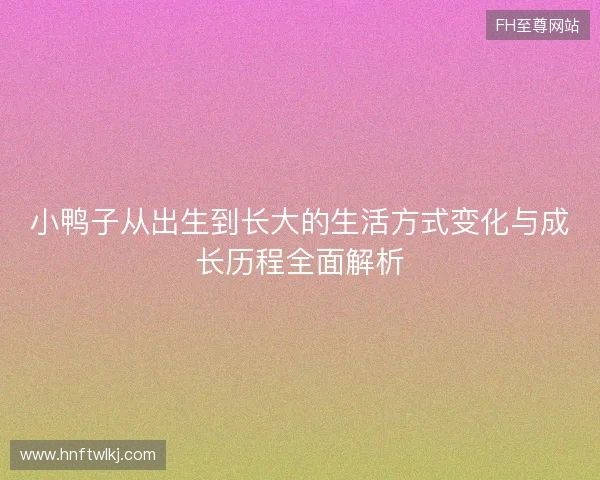 小鸭子从出生到长大的生活方式变化与成长历程全面解析 小鸭子从出生到长大的生活方式变化与成长历程全面解析